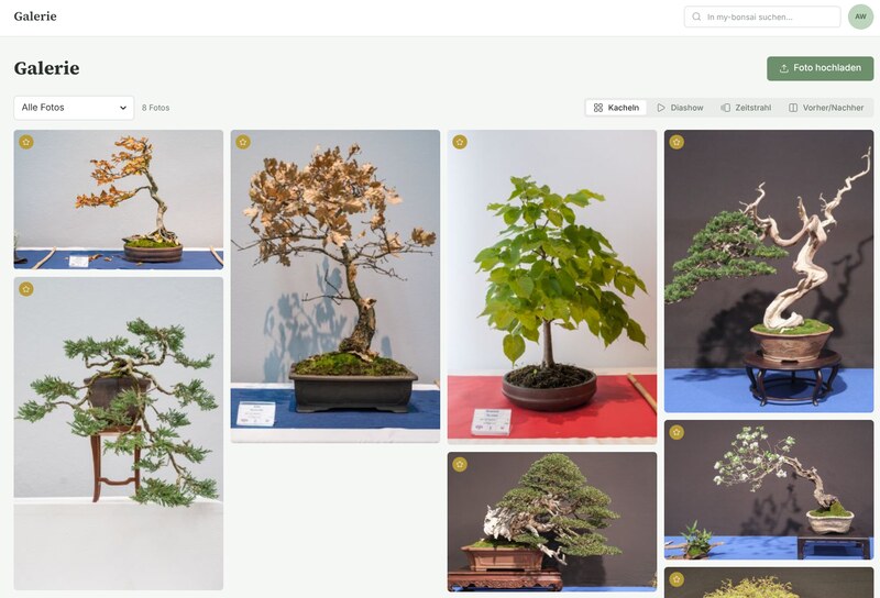 Screenshot: Galerie – Entwicklung über die Jahre